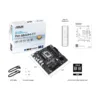 ASUS PRO B860M-CT-CSM LGA 1851